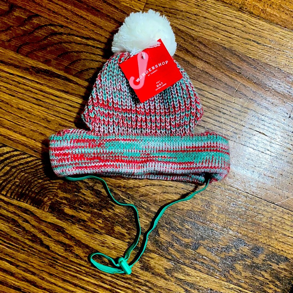 Dog Christmas hat